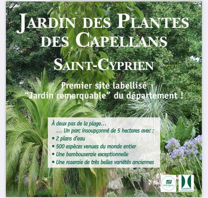 Golf Saint Cyprien Ground Floor 2 Bedrooms Apartment With Terrace Extérieur photo